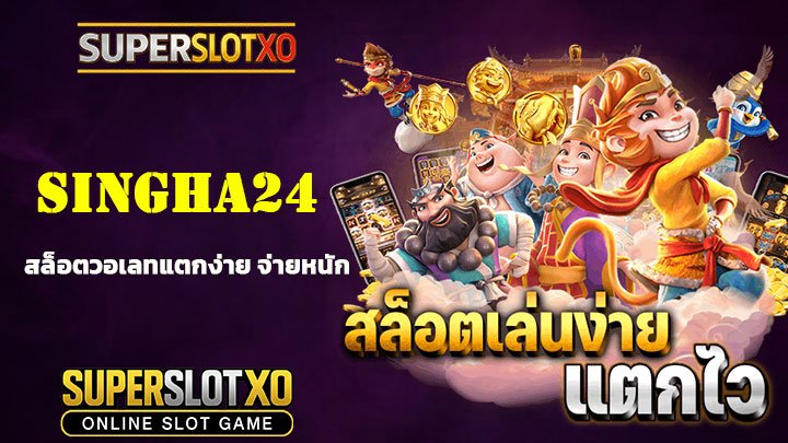 Read more about the article SINGHA24