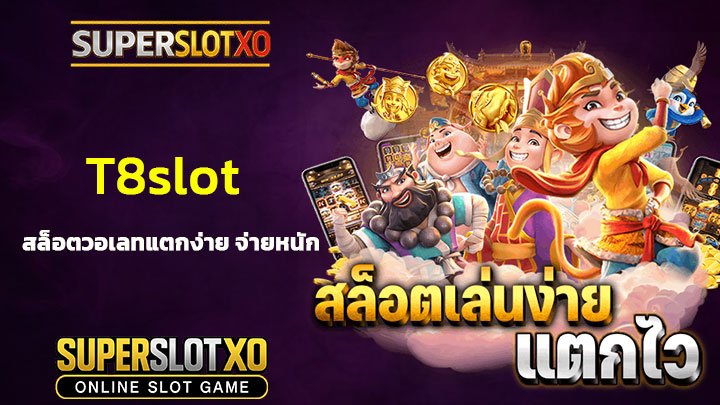 Read more about the article T8slot