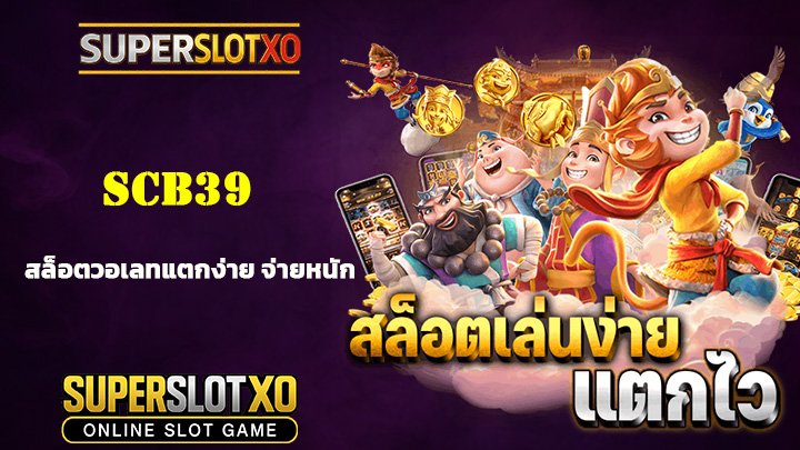 Read more about the article scb39