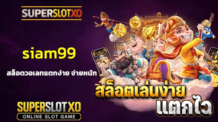 Read more about the article siam99