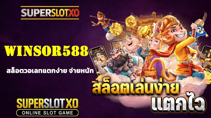 Read more about the article winsor588